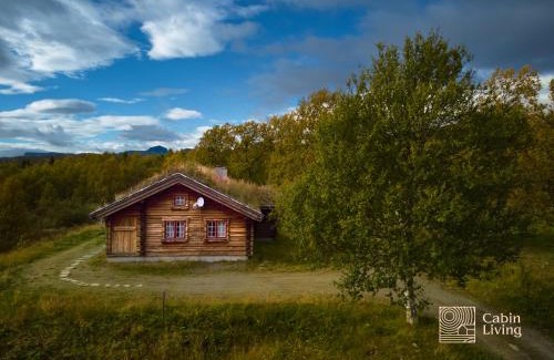 Beitostolen Casa | Cozy cabin at Beitostølen with sauna, hot tub & fireplace