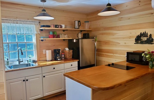 Belfast Cabina | Cozy Cabin By The Pond, Sleeps 2