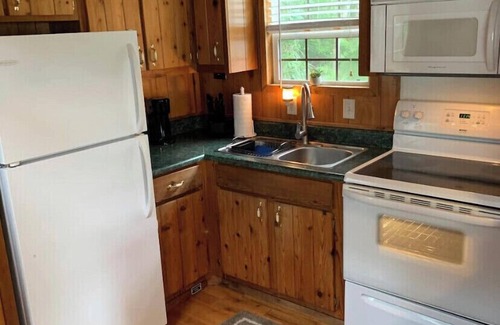 Homosassa Cabina | Cozy cabin by the river/pet friendly