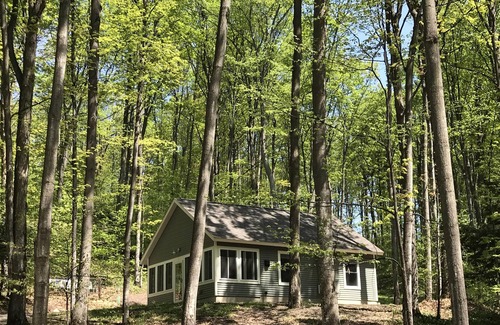 Traverse City Cabina | Acogedora cabaña en un entorno tranquilo y arbolado ❤️🥂