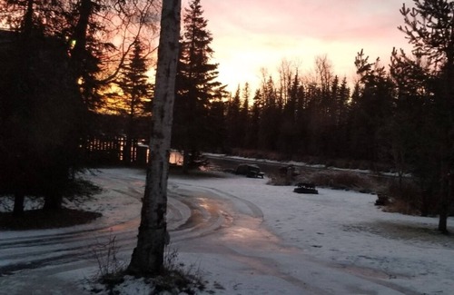 Soldotna Cabina | Cozy Cabin in the trees
