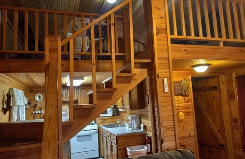 Timbo Cabina | Cozy cabin in the woods. Peaceful and only 15 minutes to Mountain View.