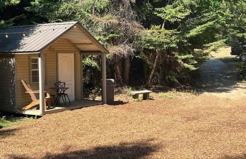 Boundary County Cabina | Cozy cabin in tranquil private forest retreat with miles of private hiking!