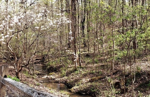 Pine Mountain Valley Cabina | Cozy Cabin near Callaway Gardens