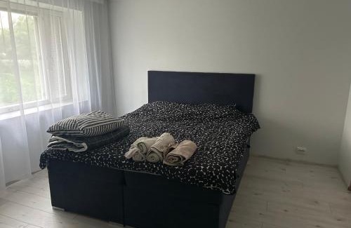 Mustvee Apartamento | Cozy cabin near Peipsi