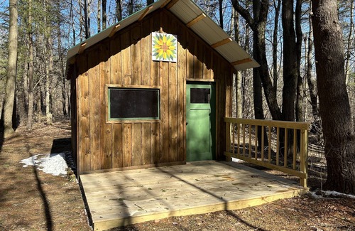 Prattsburgh Cabina | Cozy cabin nestled in the woods
