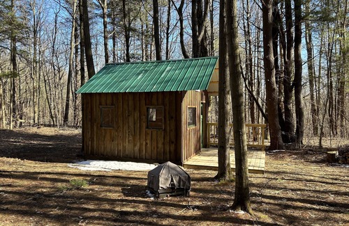 Prattsburgh Cabina | Cozy cabin nestled in the woods