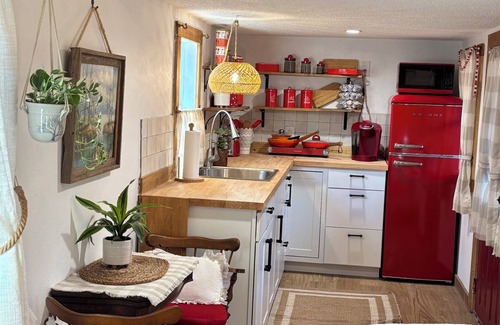 Citrus Springs Cabina | Cozy cabin on 10 acre farm with horses, chickens, cats, dog & gardens