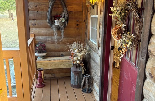 Citrus Springs Cabina | Cozy cabin on 10 acre farm with horses, chickens, cats, dog & gardens