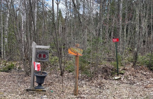 Rainy River District Cabina | Cozy cabin on shores of Rainy Lake - fantastic fishing!