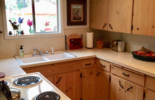 Lowman Cabina | Cozy Cabin En El Sur Tenedor Del Río Payette