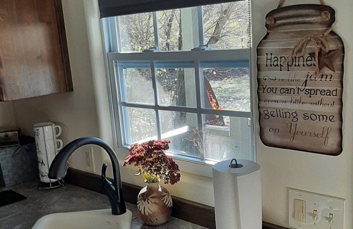 White Bird Cabina | Cozy cabin on White Bird Creek, Petfriendly