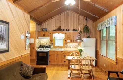Dahlonega Cabina | Cozy Cabin: River View with Hot Tub