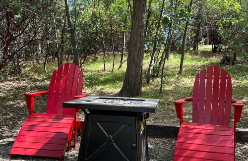 Idyllwild Cabina | Cozy cabin close to town! Perfect couples getaway. EV Charger