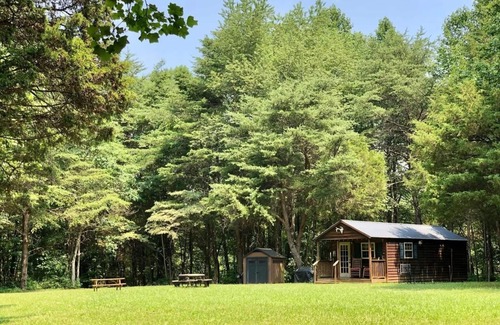 La Grange Cabina | Cozy Cabin w/firepit, tucked in the woods on a Kentucky farm. Nature awaits!