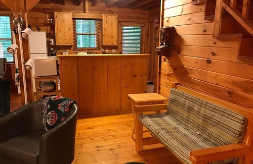 Elk Park Cabina | Cozy Cabin with Fireplace, 2 Bedrooms & 2 Queen Size Couch Beds!