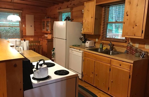 Elk Park Cabina | Cozy Cabin with Fireplace, 2 Bedrooms & 2 Queen Size Couch Beds!