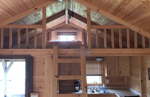 Albany Casa | Cozy Cabin with private back yard, located 5 min away from Dale Hollow Lake