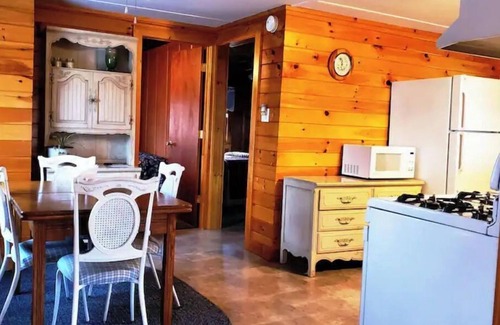 Washington Cabina | Cozy Camp in the woods surrounded by nature.!
