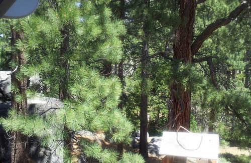 South Lake Tahoe Chalet De Esquí | Cozy Chalet 5 min from downtown, casinos and ski lift