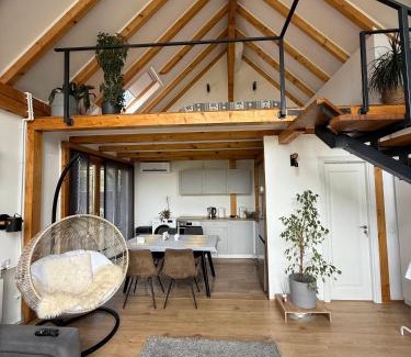 Vadu Pasii Chalet De Esquí | Cozy Chalet A-Frame