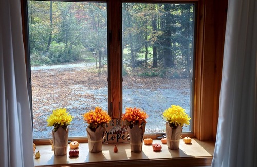 Mount Holly Chalet De Esquí | Cozy chalet minutes from Okemo Mtn & VAST
