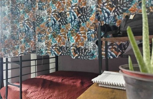 Barrio Doctores Hotel | Cozy & Cheap Hostel Close Downtown Mexico City