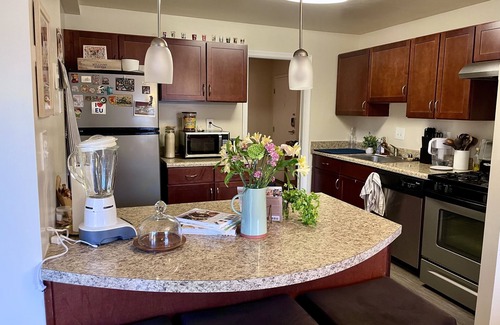 West End Apartamento | Cozy Christmas apartment centrally located near DC, VA & MD hotspots.