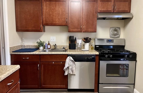 West End Apartamento | Cozy Christmas apartment centrally located near DC, VA & MD hotspots.