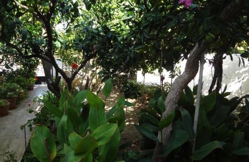 Ormos Korthiou Casa | Cozy Citrus Garden House by the Seaside.