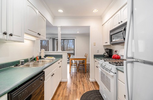 Harbor Springs Condominio | Cozy Condo with Shared Pool & Tennis, Fast WiFi, Private Deck & Gas Fireplace
