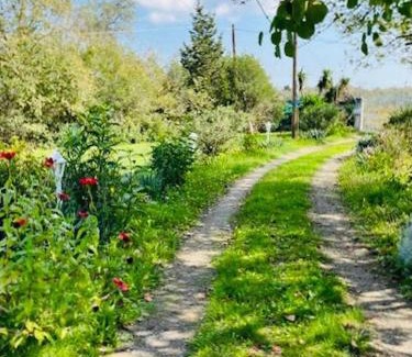 Kefalovriso Casa | Cozy Corfu Bungalow 5 minutes to Aqualand
