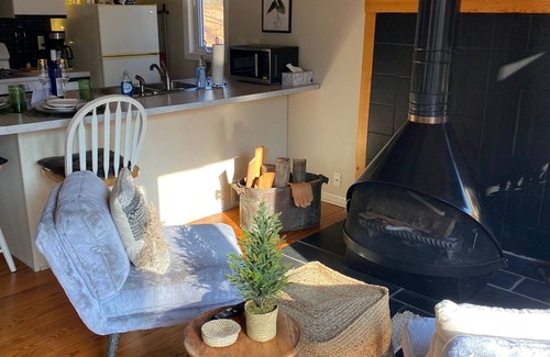 Holland Cabaña | Cozy Cottage 5 minutes to Saugatuck with Wood Stove
