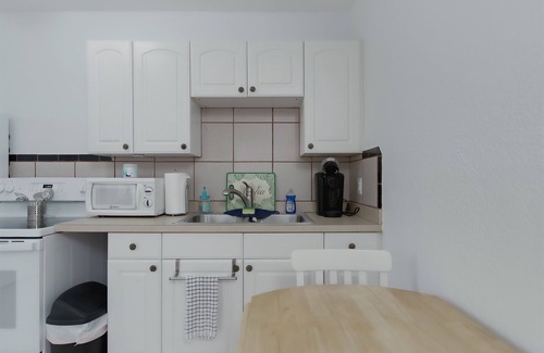 Downtown Dunedin Cabaña | Cozy Cottage Downtown + near Waterfront