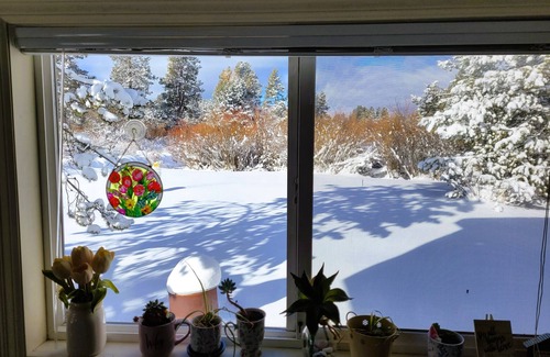 La Pine Casa | Cozy cottage with river access and great outdoor adventures