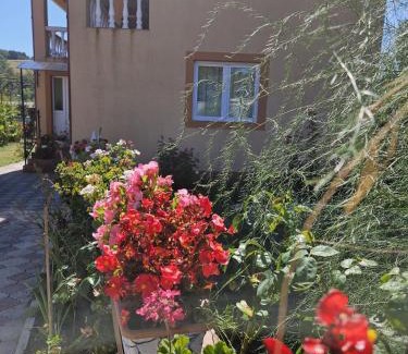 Livezile Casa | Cozy, country house