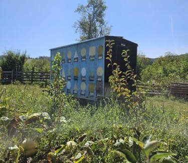 Livezile Casa | Cozy, country house