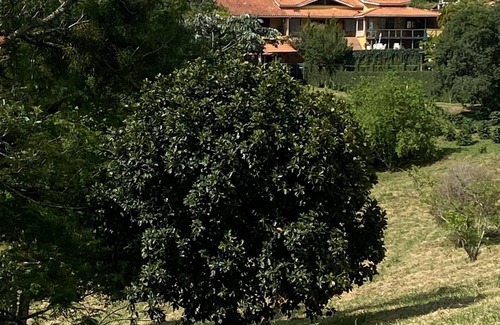 Piracaia Cabaña | Cozy country house on the Jaguari reservoir