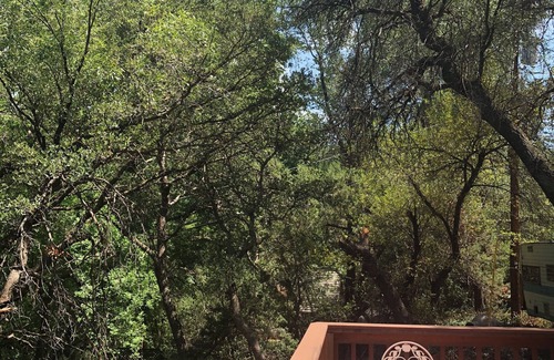 Sedona Cabina | Cozy Creekside Glamping in a Funky Studio Cabin in Oak Creek Canyon, Sedona AZ