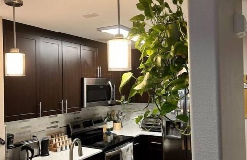 Saranap Apartamento | Cozy Downtown Walnut Creek Apt