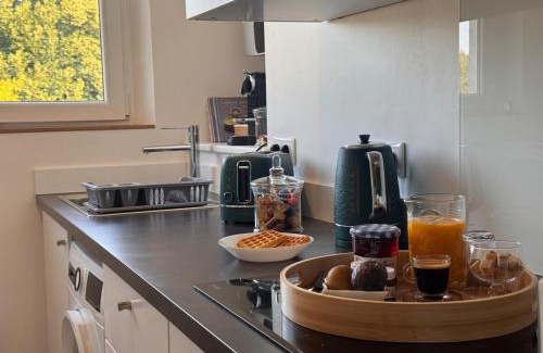Jouy-en-Josas Apartamento | Cozy duplex in the city center HEC & Tecomah
