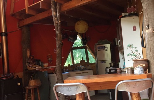 Pinto Casa | Acogedora experiencia ecológica de domo en la naturaleza virgen