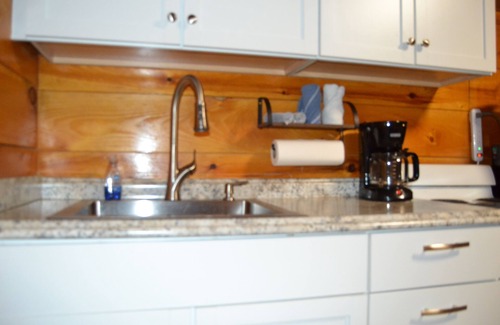 Stanton Cabina | Cozy & efficient cabin w/ river access. Pet Friendly!