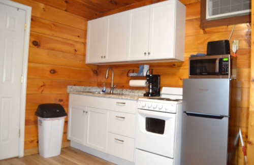Stanton Cabina | Cozy & efficient cabin w/ river access. Pet Friendly!