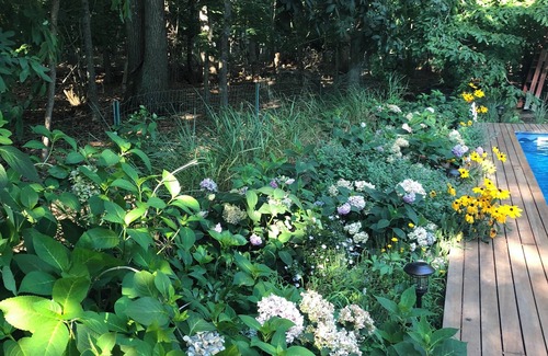 East Hampton North Apartamento | Cozy en-suite in beautiful East Hampton with AC, WiFi