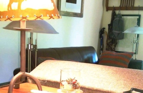 McArthur Cabina | Cozy Evergreen Cabin in state forest!🌲 close 2 Hocking hills ,Lake Hope, Athens