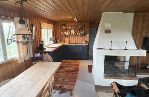 Hol Municipality Casa | Cozy family friendly cabin at beautiful location!