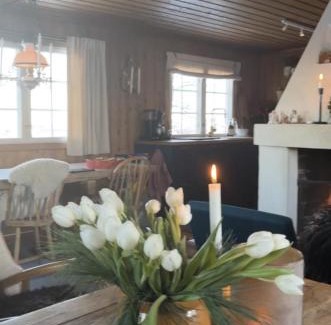 Hol Municipality Casa | Cozy family friendly cabin at beautiful location!