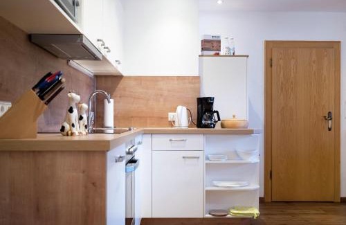 Griessen Apartamento | Cozy feel good holiday apartment in Leogang