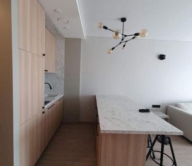 Snipiskes Apartamento | Cozy flat 911